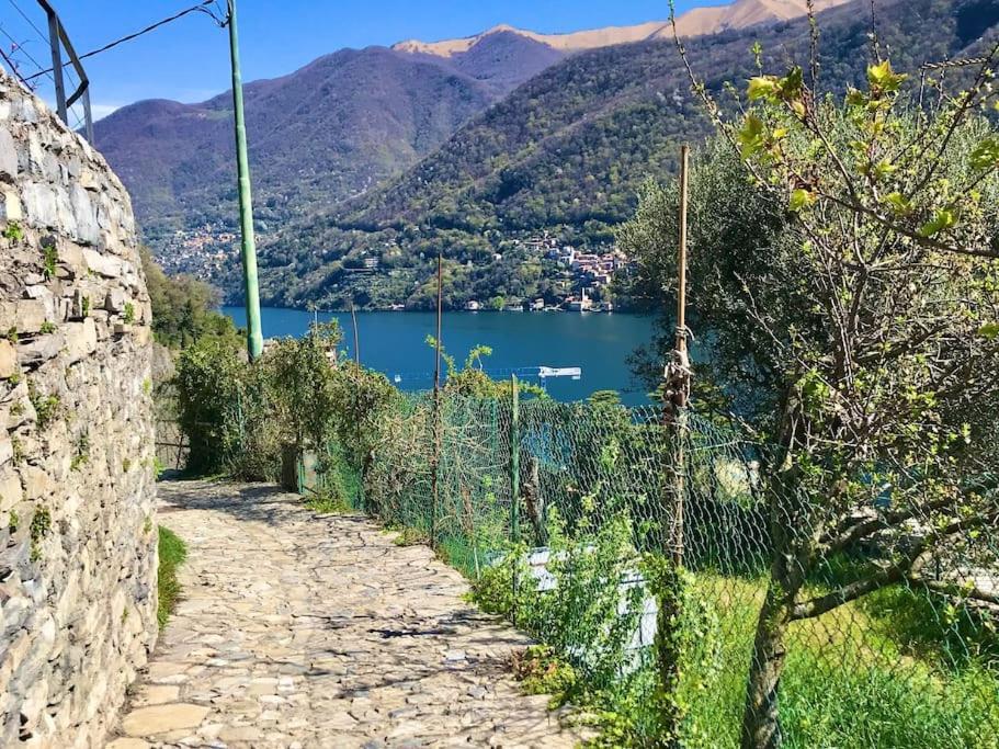 Romantic Home Stone With Amazing View Lake Of Como And Oleandra لاليو المظهر الخارجي الصورة
